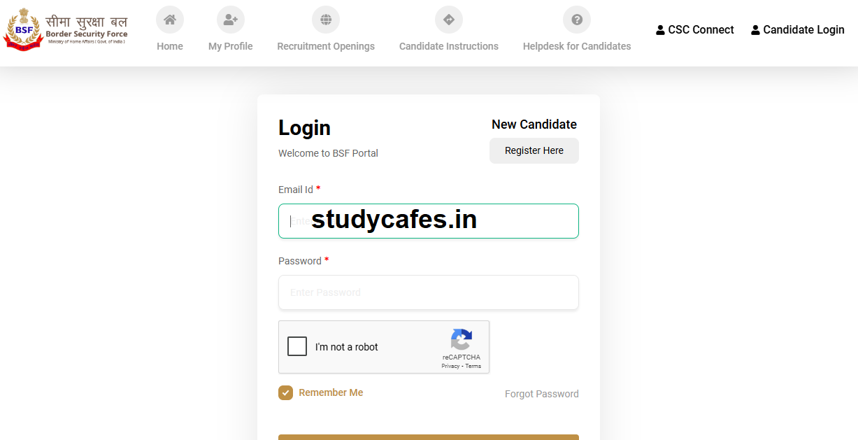 BSF Admit Card 2025